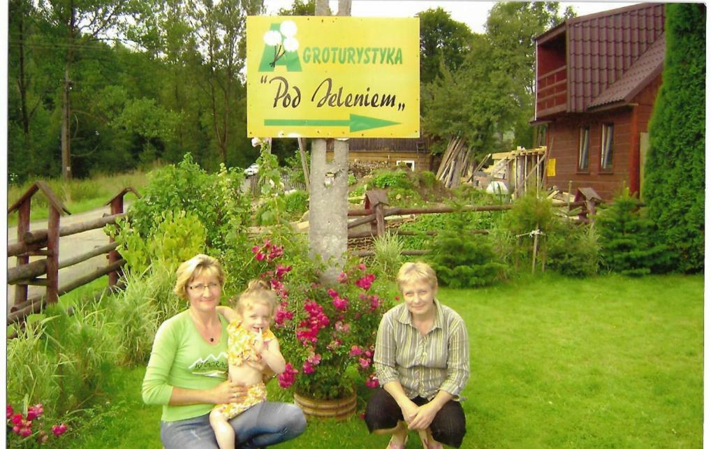 Apartament Agroturystyka Boguśka Zawoja Zewnętrze zdjęcie